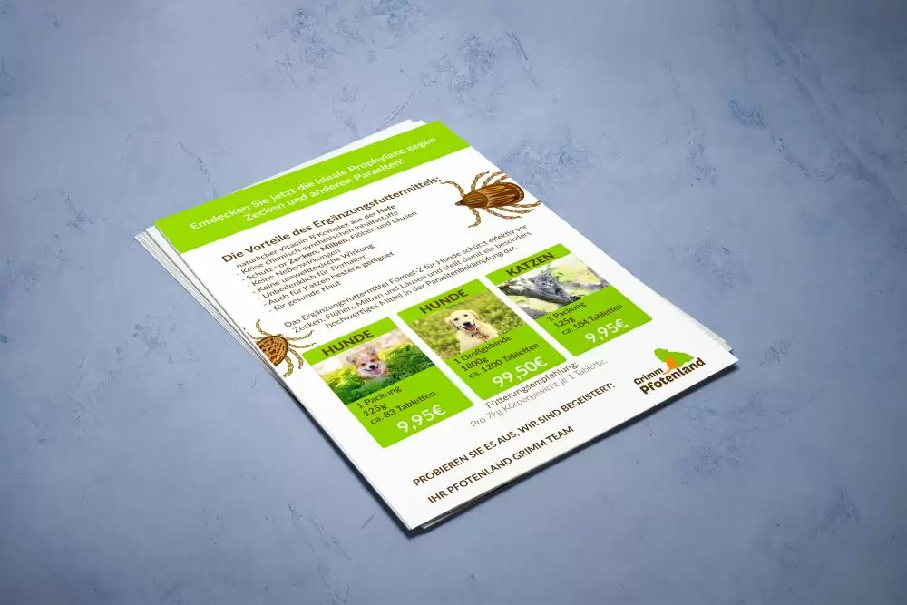Werbeflyer Infoblatt Marketing Streuwerbung